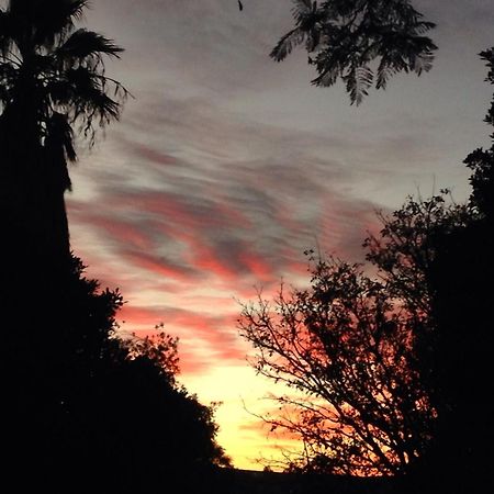 Artkaroo Stay Oudtshoorn Zewnętrze zdjęcie