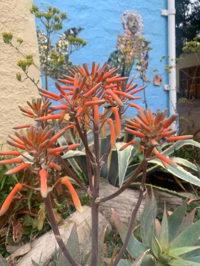 Artkaroo Stay Oudtshoorn Zewnętrze zdjęcie