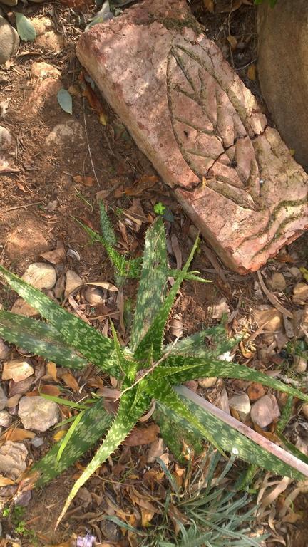 Artkaroo Stay Oudtshoorn Zewnętrze zdjęcie