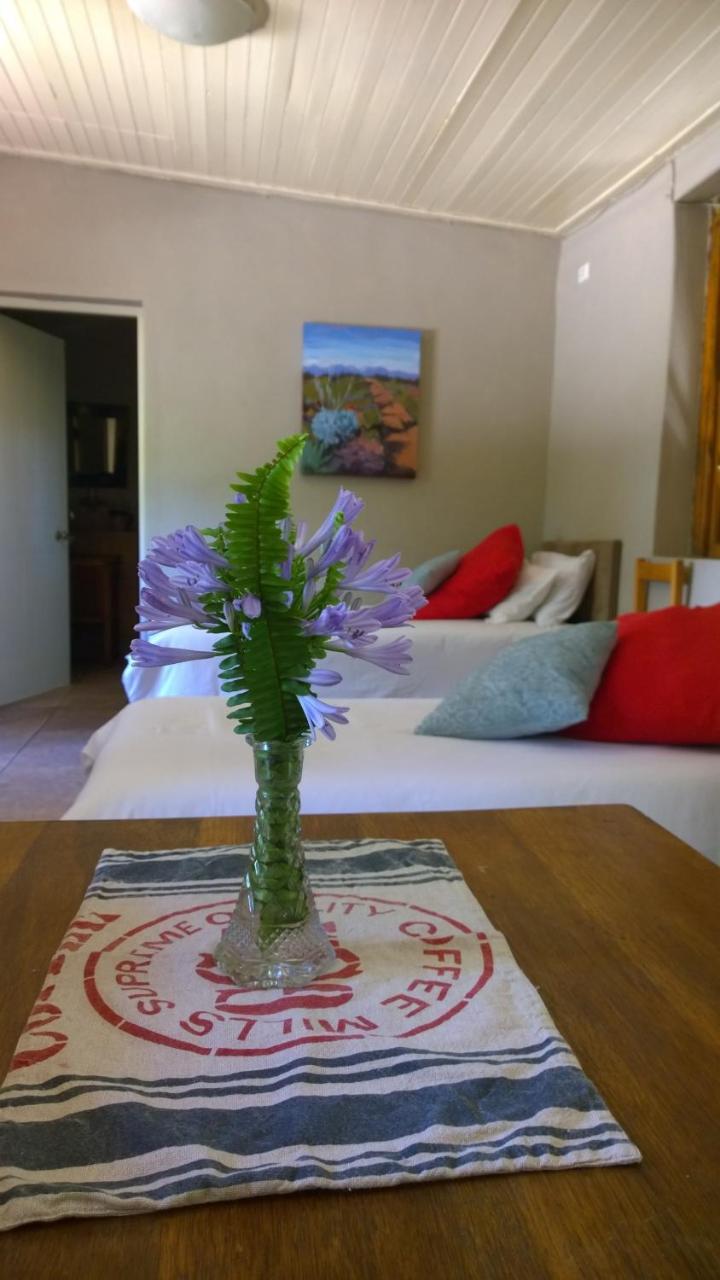 Artkaroo Stay Oudtshoorn Zewnętrze zdjęcie